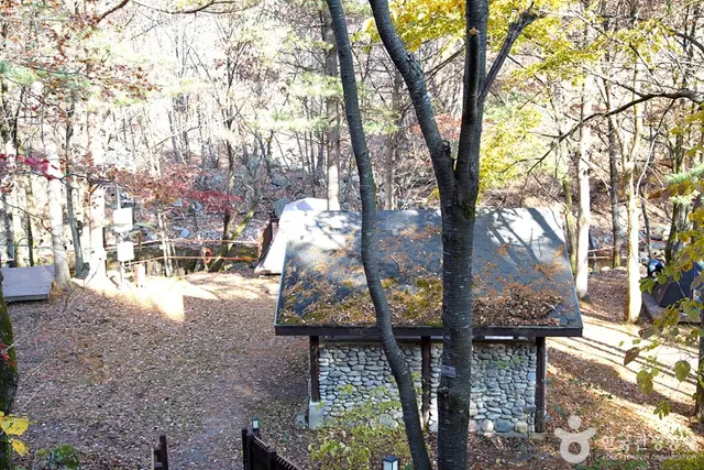 국립 용대자연휴양림 사진