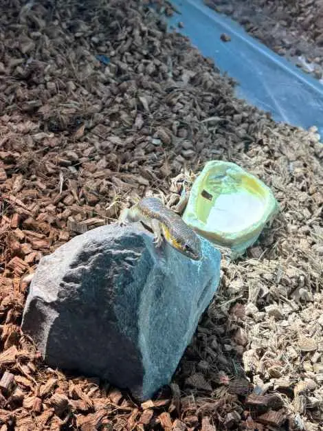 와글와글 동물원 사진