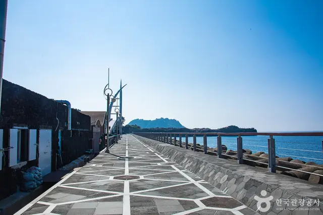 서귀포잠수함 사진