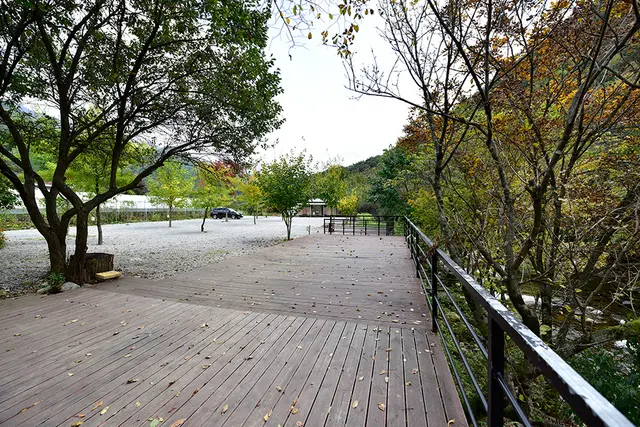 자우림 사진