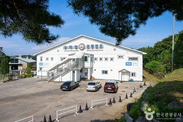 궁평캠프 사진