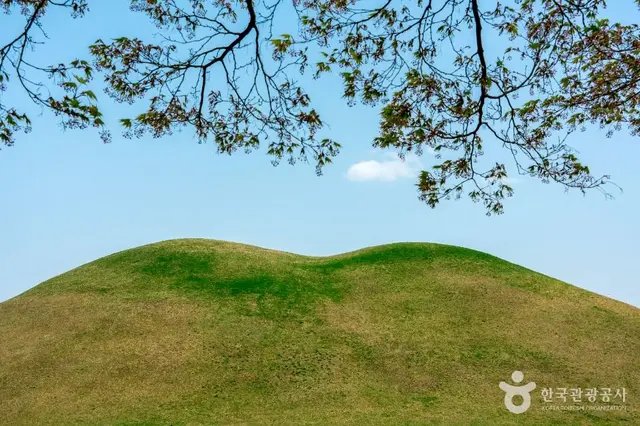 경주 대릉원 사진