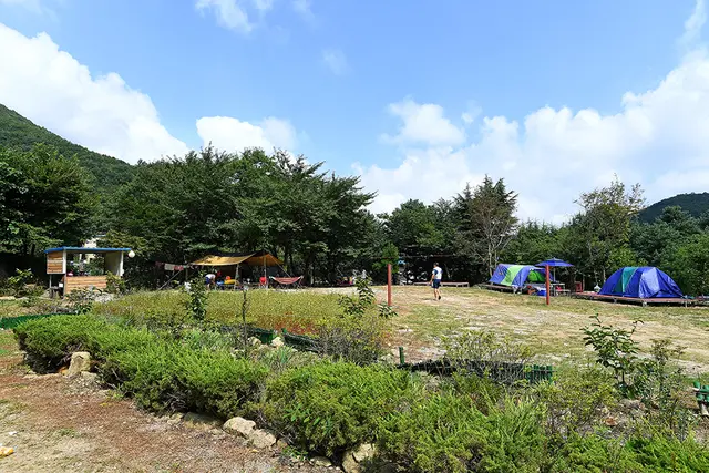 지리산숲속의쉼터 사진