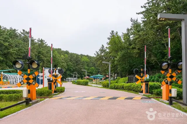 선암호수공원무지개놀이터 사진