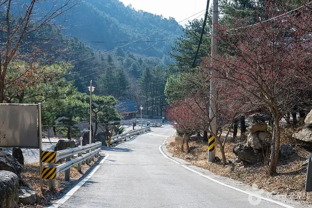 남양주 축령산자연휴양림 사진