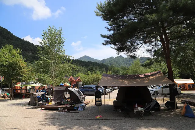 백담고을캠핑장 사진