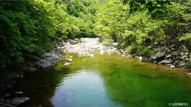 뱀사골계곡 사진