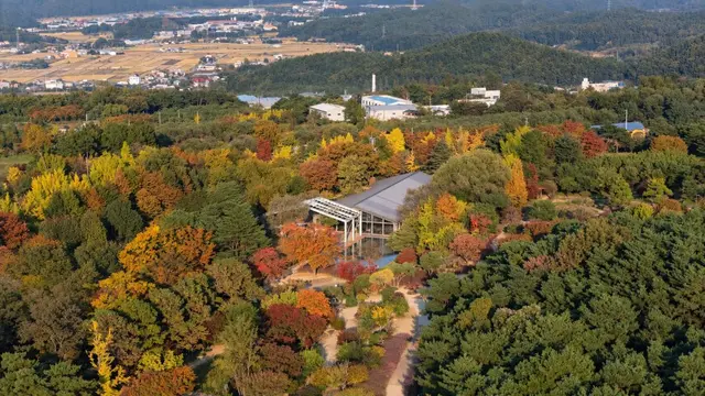 가산수피아 사진