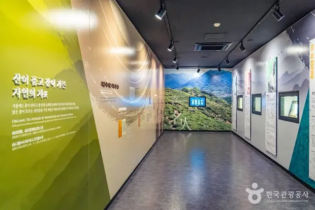 하동야생차박물관 사진