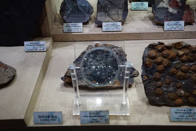 태백석탄박물관 사진