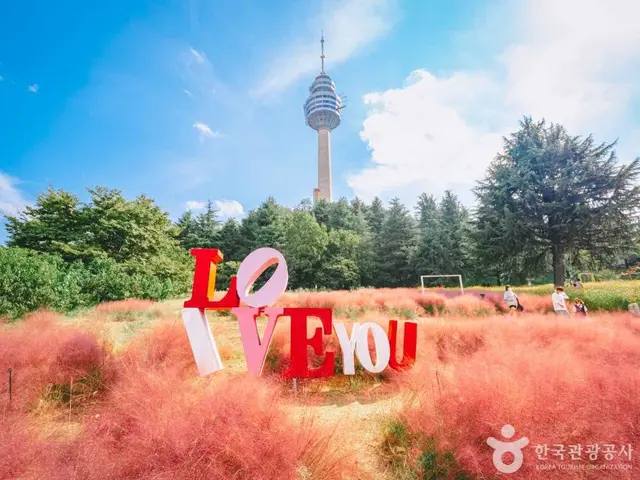 이월드 사진
