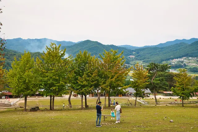 해피초원목장 사진