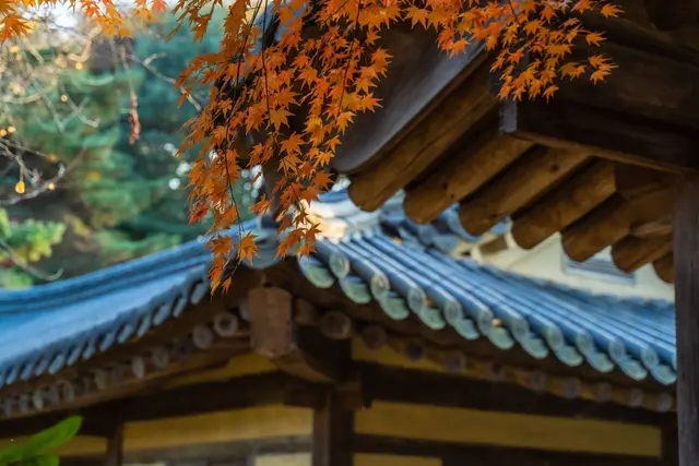 한국민속촌 사진