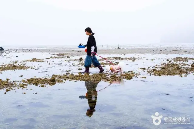 병술만어촌체험마을 사진