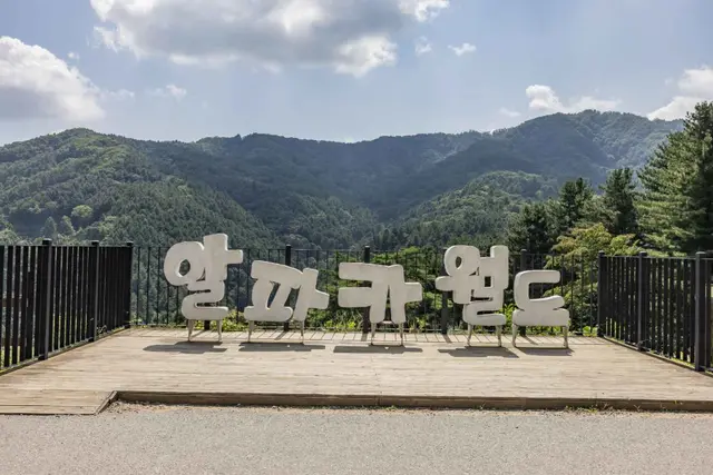 알파카월드 사진