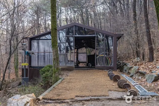 대모산도시자연공원 사진