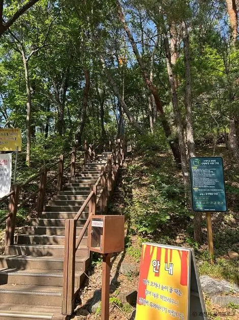 서울대공원 산림욕장 사진