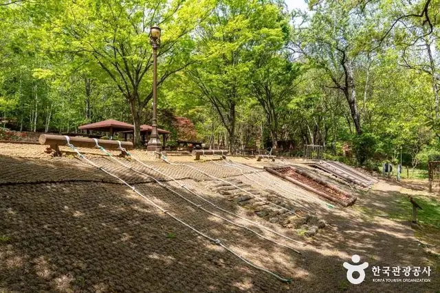 알콩달콩유아숲체험원 사진