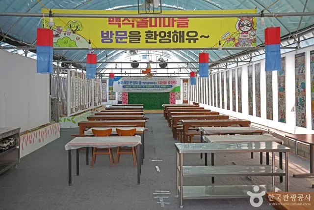 당진 백석올미마을 사진