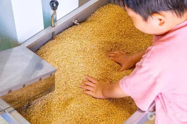 랑이네 이음 정미소 사진