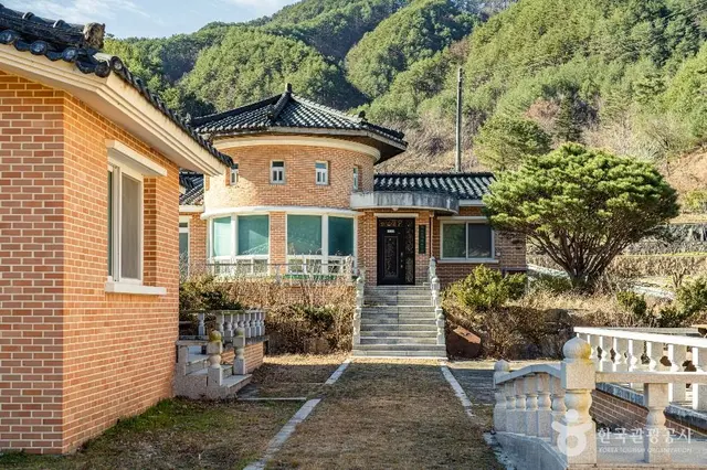 삼척 가시오가피마을 사진
