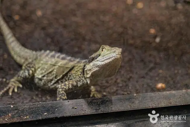 네이처파크 사진