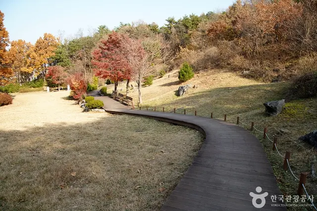 천곡천연동굴 자연학습체험공원 사진
