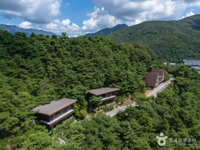세아휴양림수목원 사진