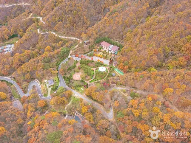 데미샘자연휴양림 사진