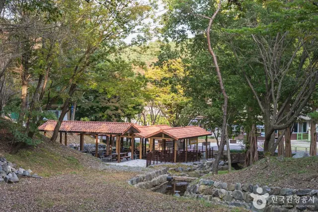 칠갑산자연휴양림 사진