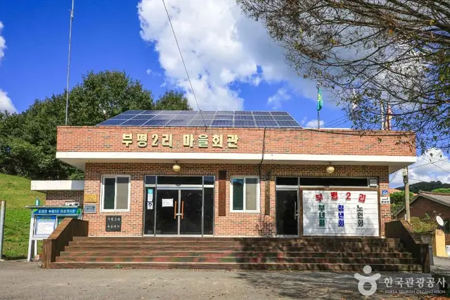 여주 해바라기마을 사진