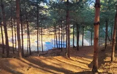 자일산림욕장 사진