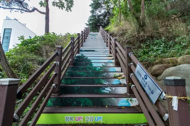죽도정·죽도 전망대 사진