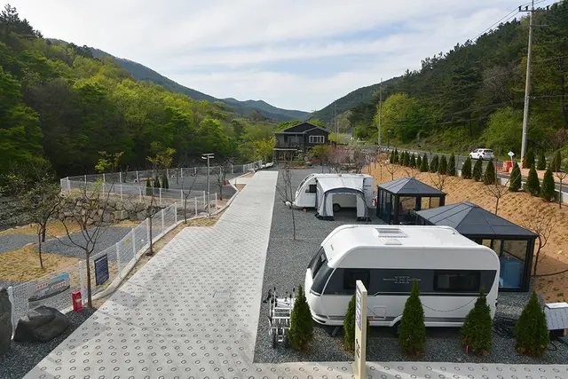 내를 건너서 숲으로 오토캠핑장 사진