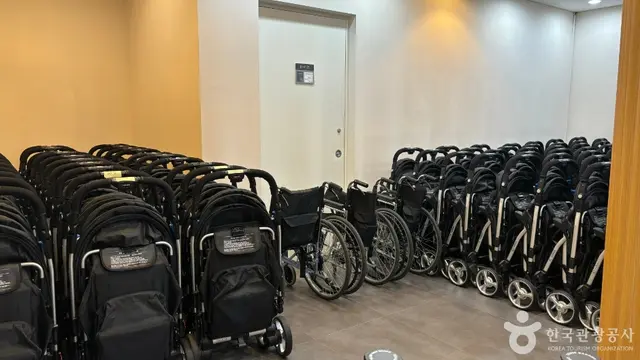 씨라이프 코엑스 아쿠아리움 사진