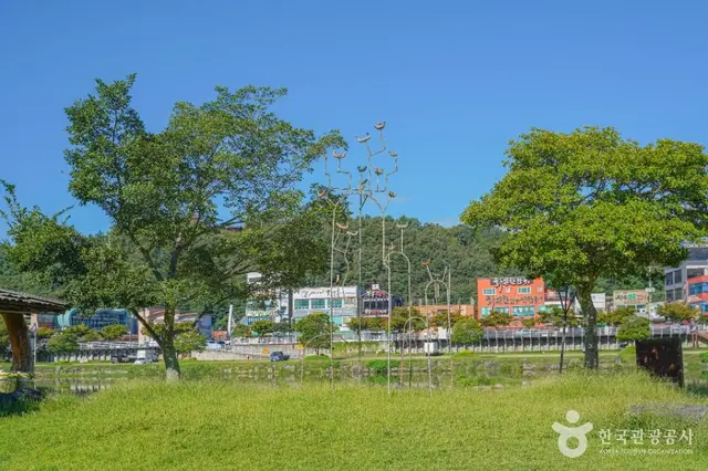 탐진강 생태습지원 사진