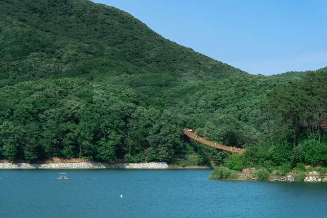 마장호수 출렁다리 사진