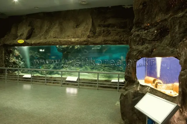 전라남도해양수산과학관 사진