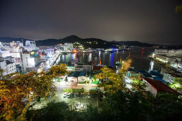디피랑 사진