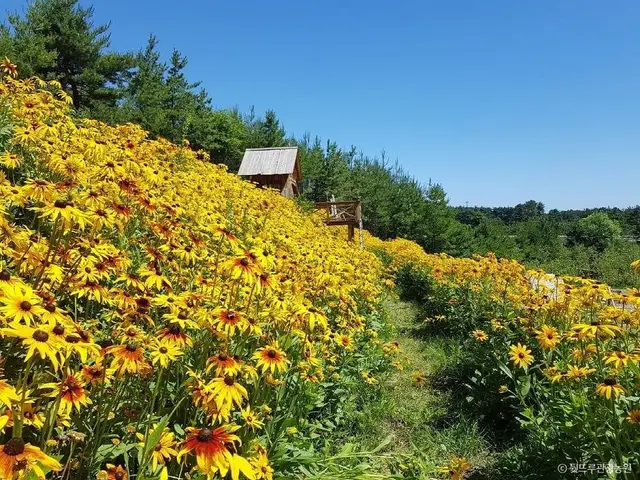뒷뜨루관광농원 사진