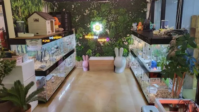 마리앤쥬 사진