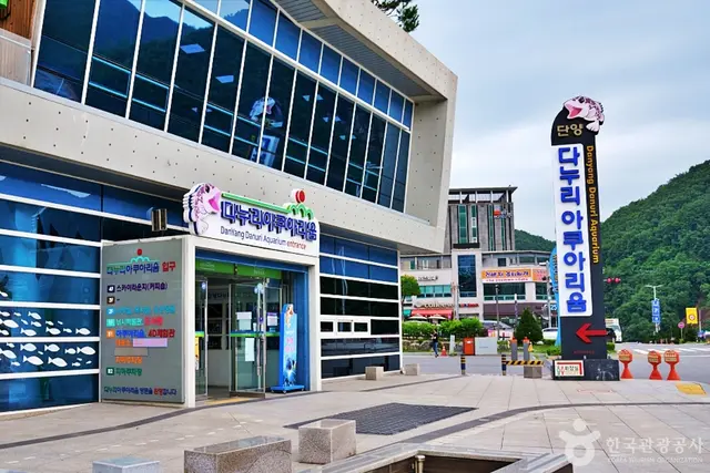 단양 다누리센터 4D체험관 사진