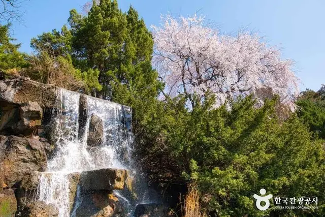 벽초지수목원 사진