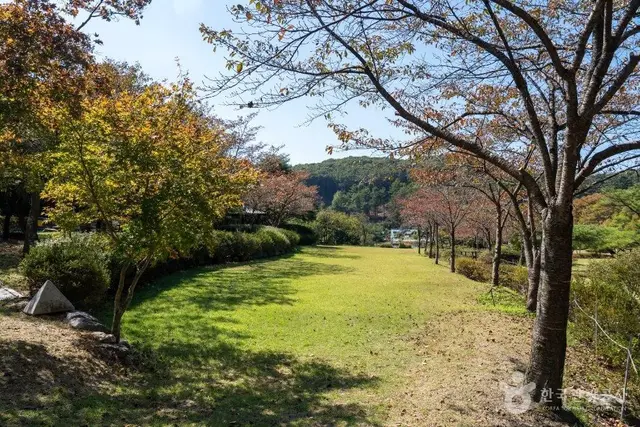 만뢰산자연생태공원 사진