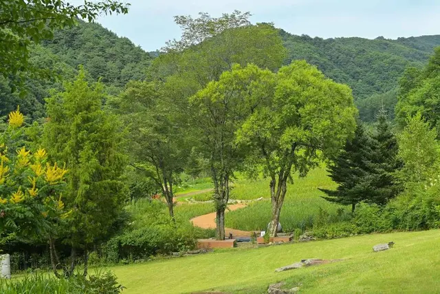 국립한국자생식물원 사진