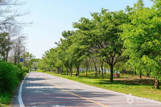 여의도한강공원 사진
