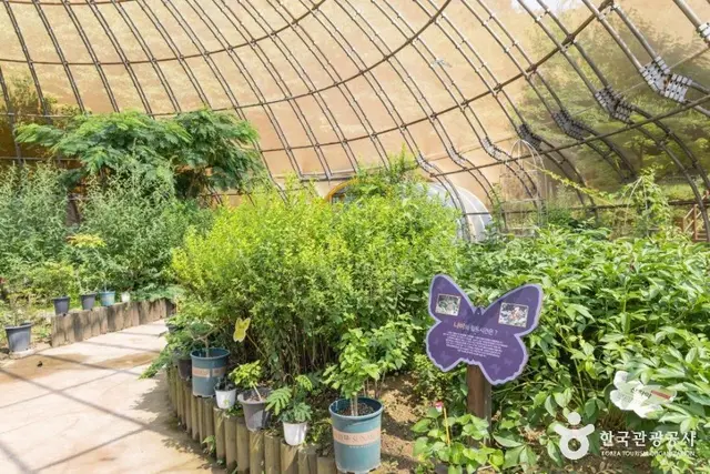 인천나비공원 사진