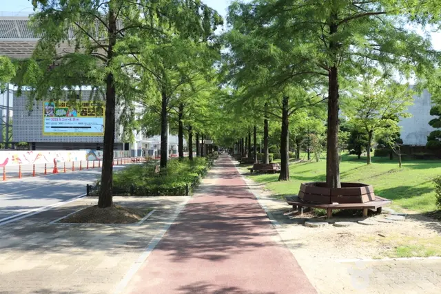 둔산대공원 사진