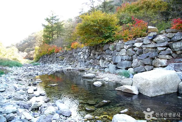 담터계곡 사진