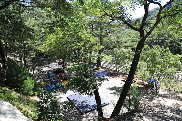 수봉야영장 사진